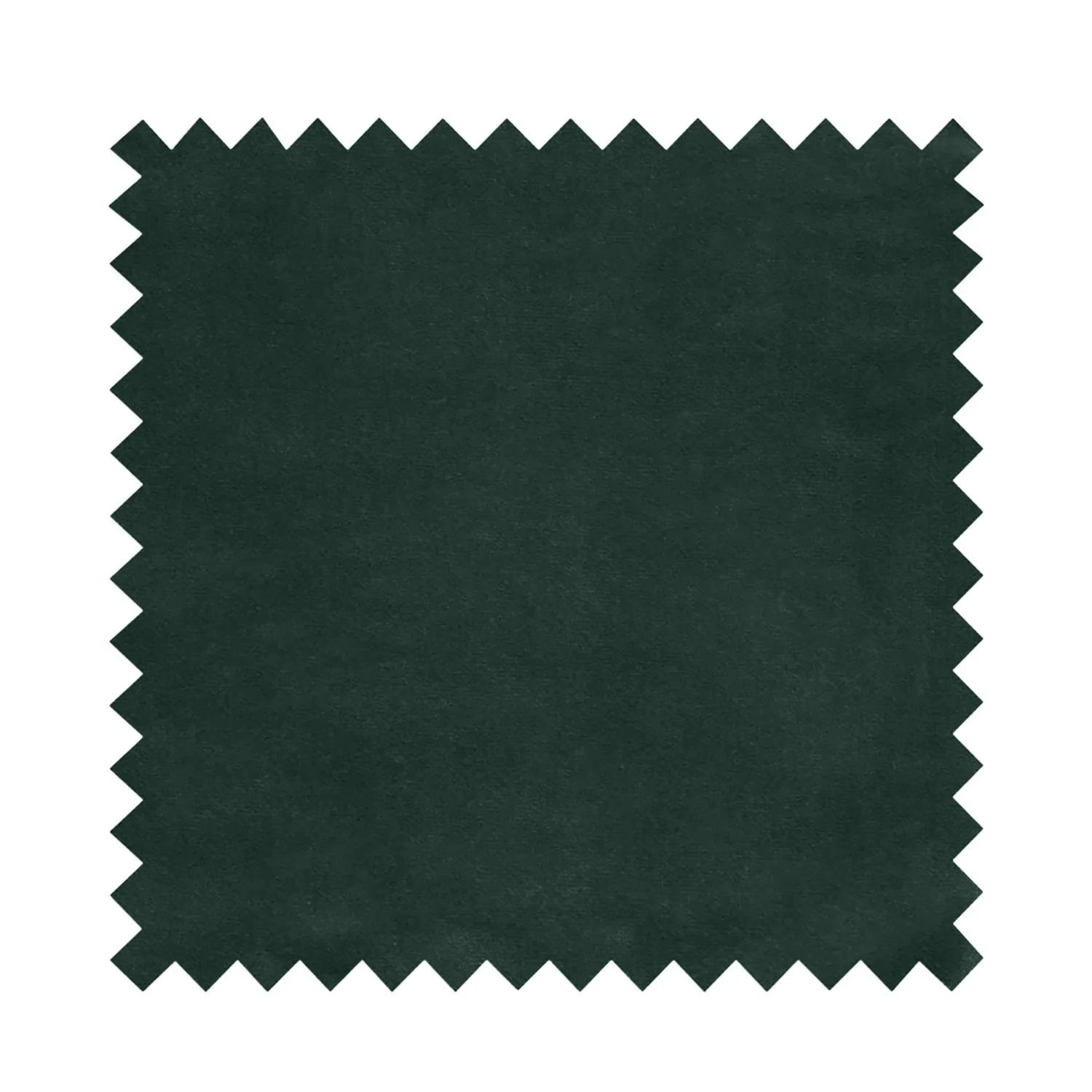 Chaise KLARY style scandinave en velours, pieds noirs - Image 36