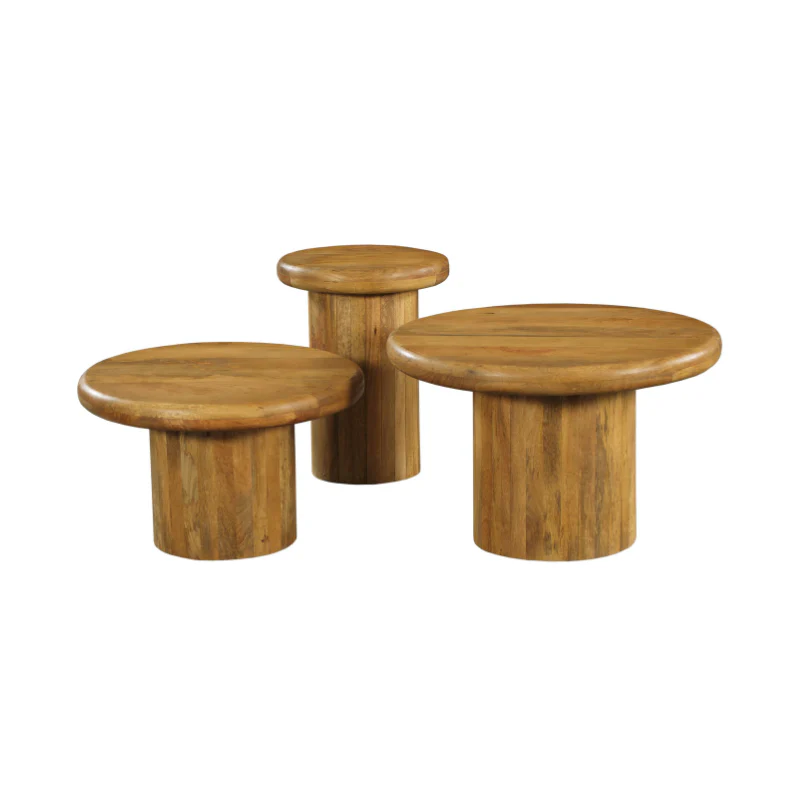 Set de 3 tables basse en bois de manguier - TORONTO - Image 4